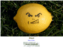 Tablet Screenshot of lemonfilling.com